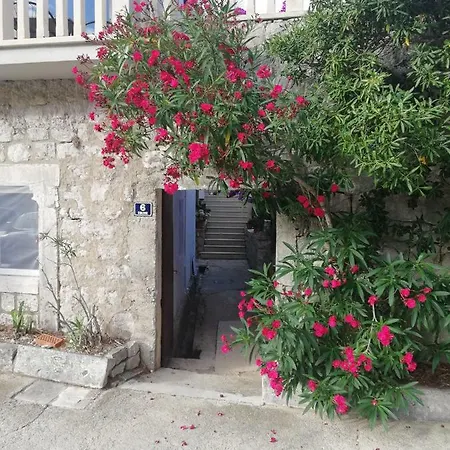 Apartments Vicko Vodnica Zaton  Exterior photo
