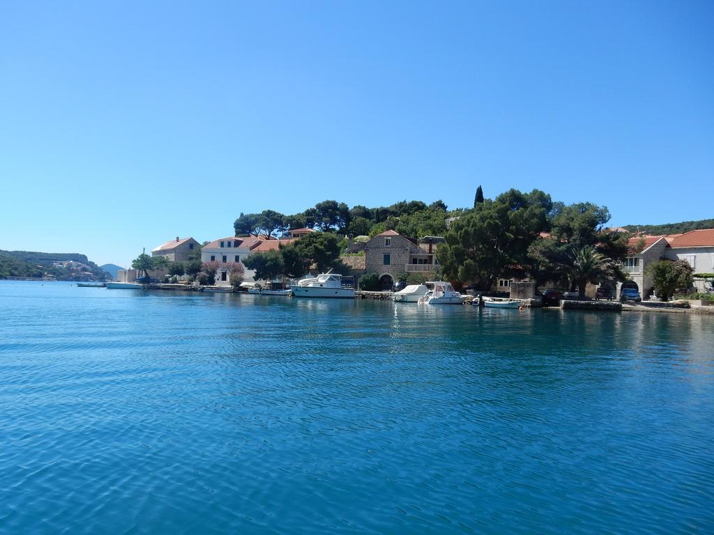 Apartment Vicko Vodnica Zaton (Dubrovnik-Neretva)