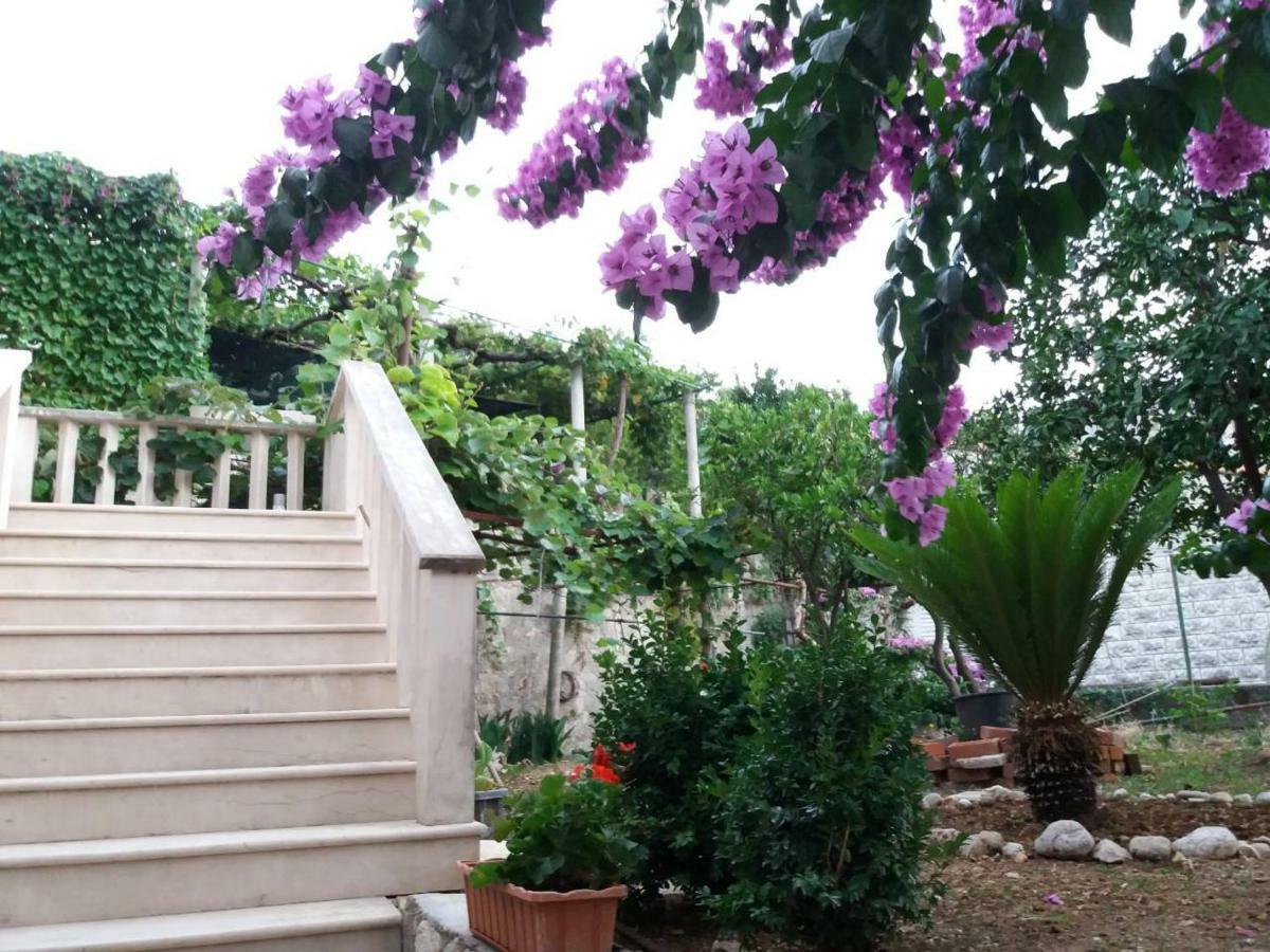 Apartma Vicko Vodnica Zaton (Dubrovnik-Neretva)